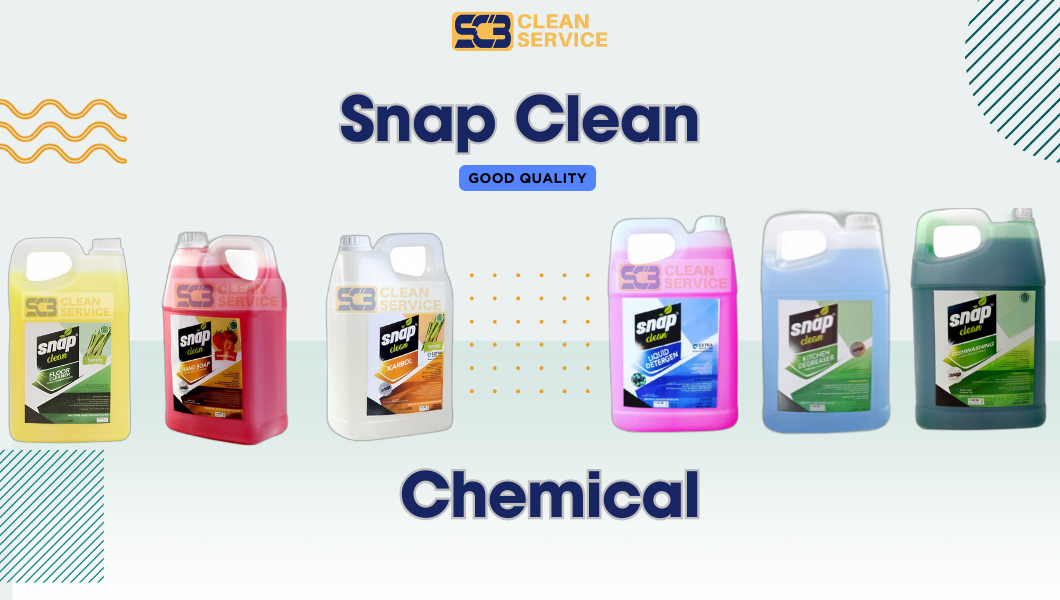 snap-clean-5.png